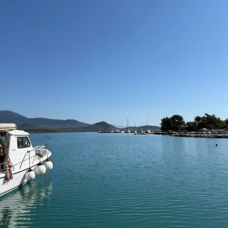 Bloom * Achillion Magnisia