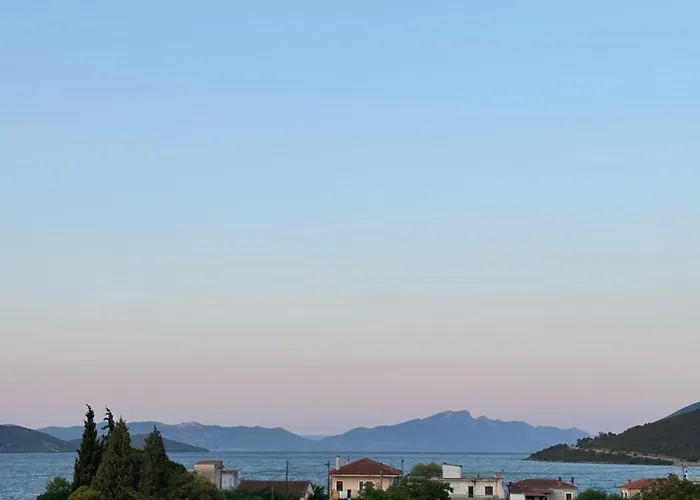 Bloom * Achillion Magnisia