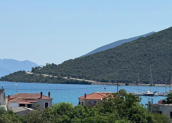 Bloom Achillion Magnisia