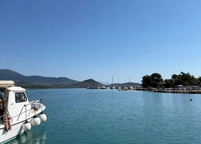 Bloom * Achillion Magnisia